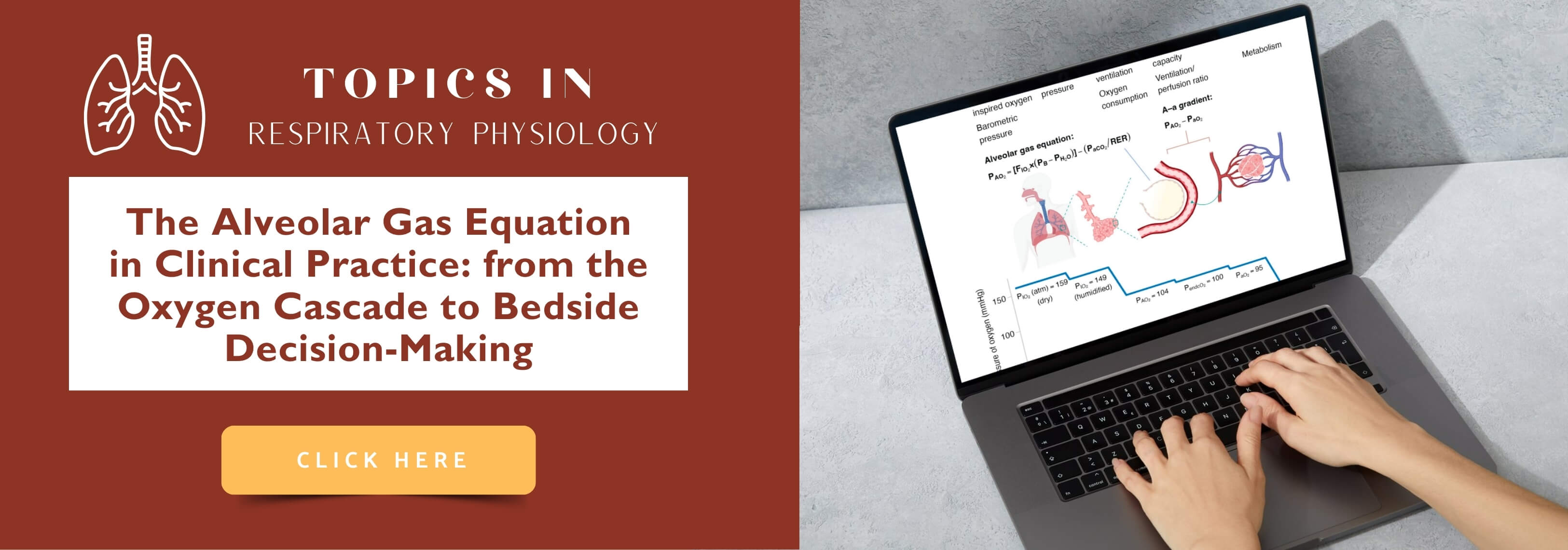 Banner_-_topics_respiratory_physiology_alveolar_gas_equations_clinical_practice_en