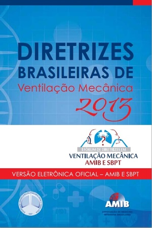 Diretrizes Brasileira De Vm