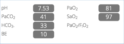 Novo Quiz1