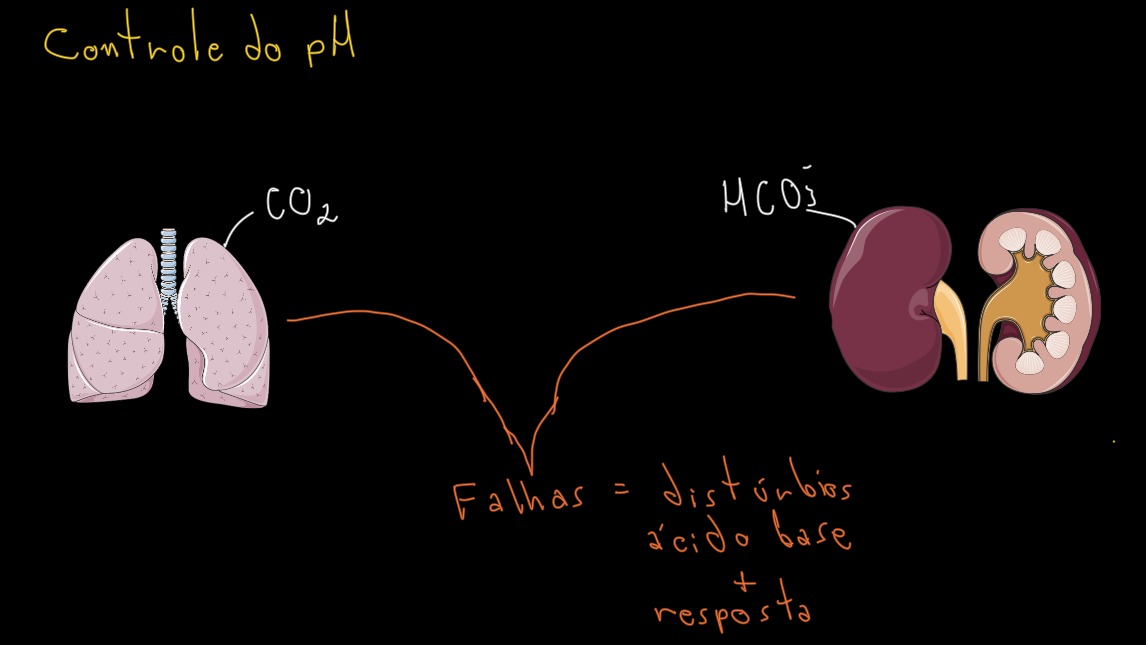 Distúrbios Ácido-Base 1 - Conceitos de pH e tampão